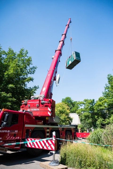 Panzernashorn-Transport im Zoo Basel (Bilder: Copyright 2022 Zoo Basel - Alle Rechte vorbehalten)
