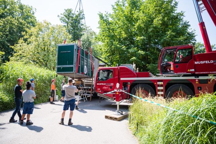 Panzernashorn-Transport im Zoo Basel (Bilder: Copyright 2022 Zoo Basel - Alle Rechte vorbehalten)