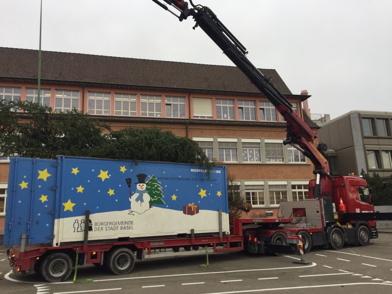 Stellen von Weihnachtsbäumen